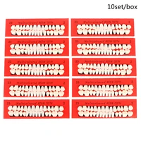10sets universal resi false teeth resin teeth model durable dentures dental material teeth teaching model dedicated teeth