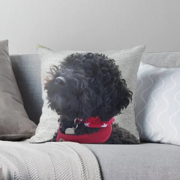 

Stanley the little Black Cockapoo Soft Decorative Throw Pillow Cover for Home Pillows NOT Included
