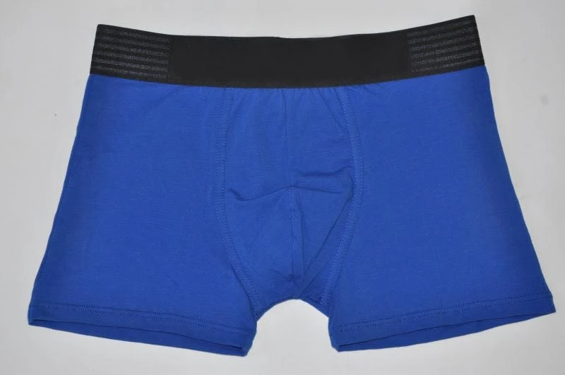 

5Pcs/Lot Fashion Model Brand Men Boxer Underwear Gay Cuecas Cotton Long Leg Boxers Underpants for Brand Quality Sexy Panties