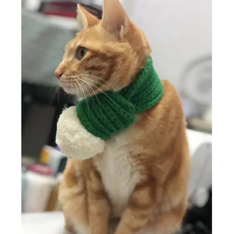 Собачий кошачий шарф Теплый Зимний вязаный для щенков кошек Регулируемый