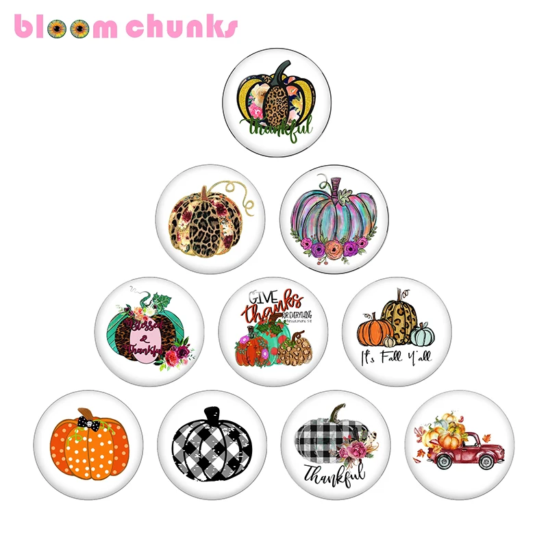 

Thanksgiving pumpkin 12mm/18mm glass snap button Round photo glass cabochon jewelry flat back Making findings C1318
