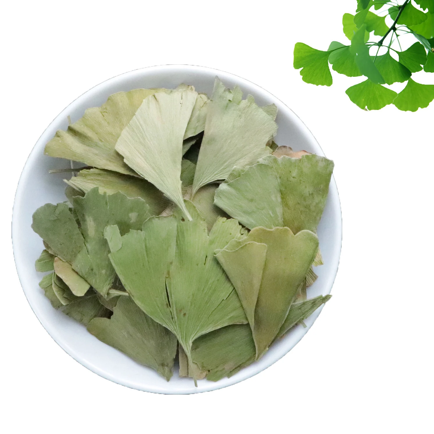 Натуральный сушеный чай из листьев гинкго китайский зеленые травяные листья