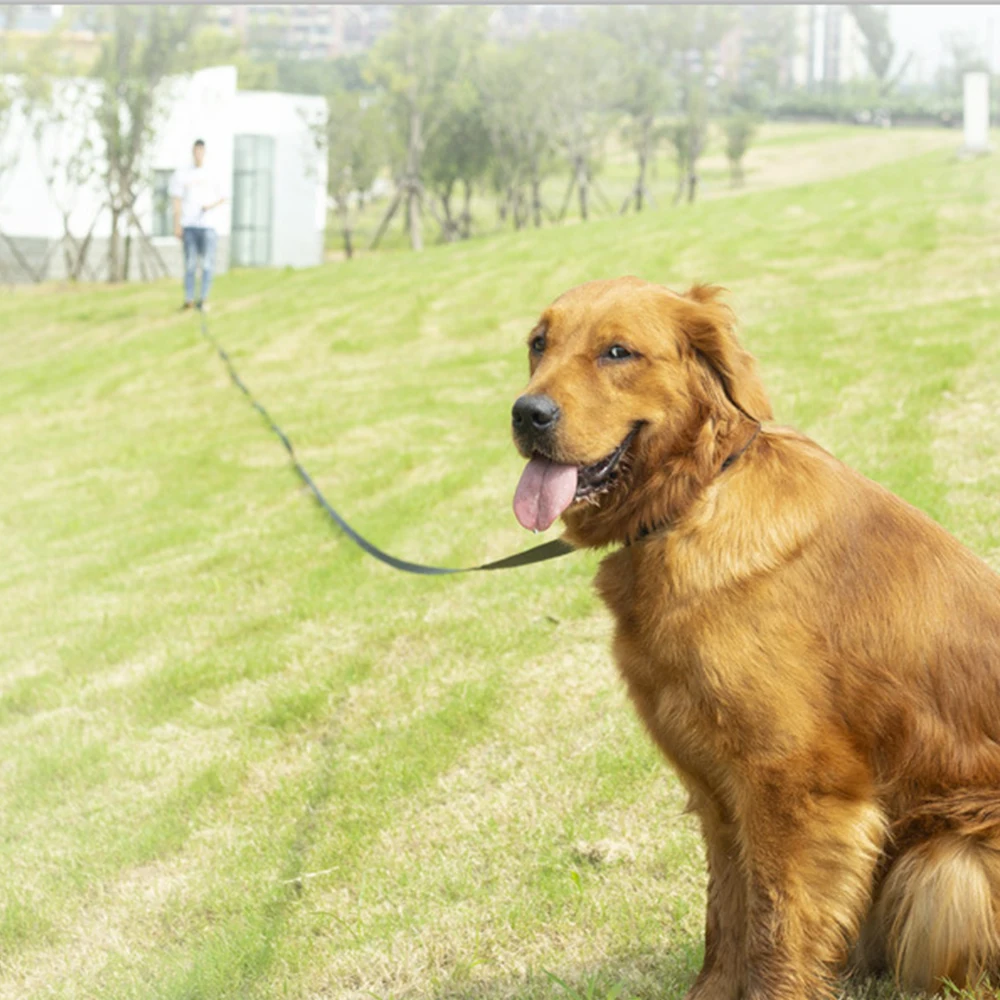 1.2-10m Longer Pet Leashes Belt Comfortable Sponge Handle Outdoor Training Dog Rope for Small Large Dogs Lead Stuff New | Дом и сад