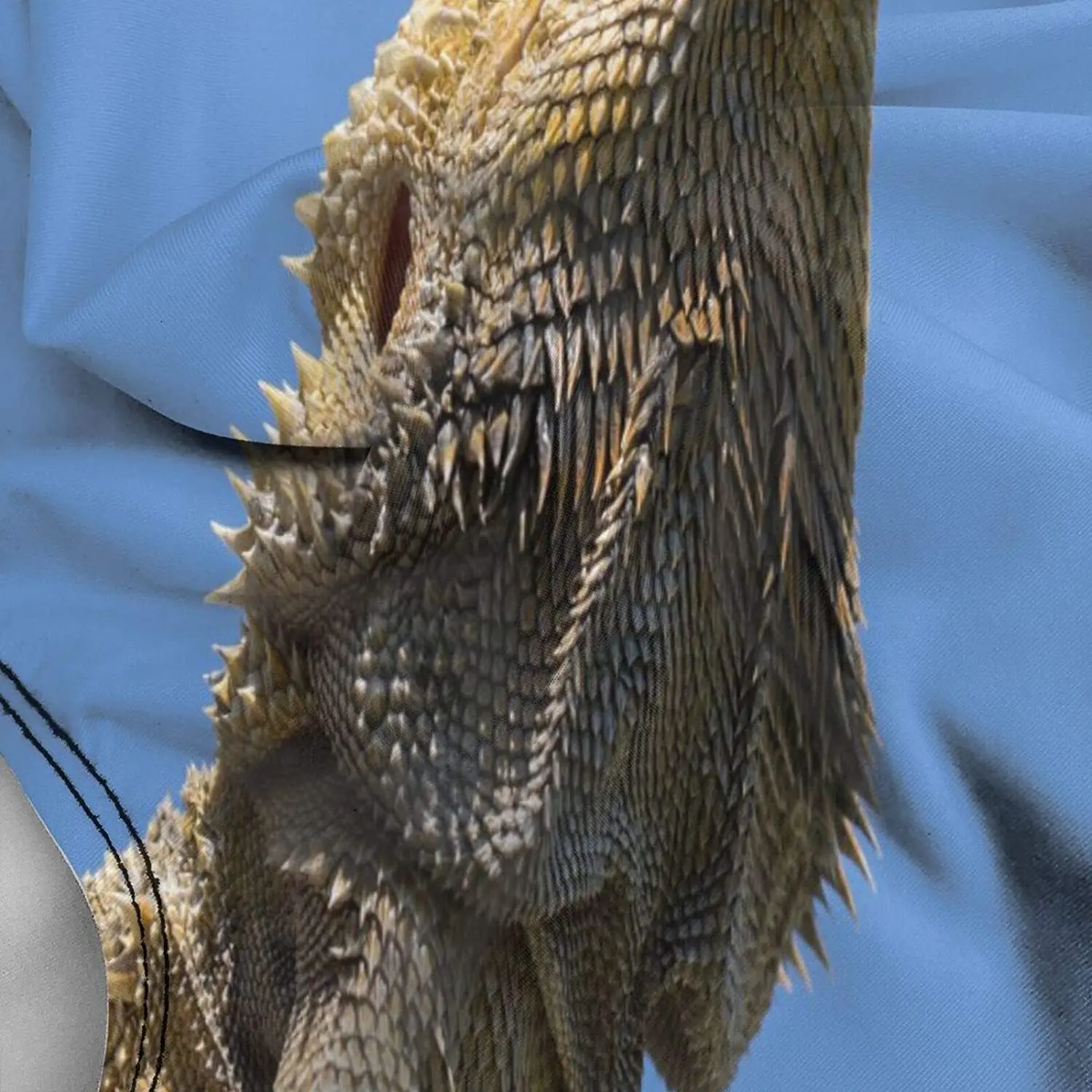 Женский цельный купальник 2021 сексуальные модные купальники для