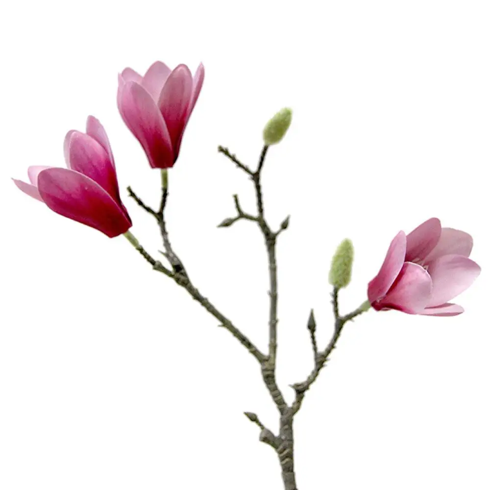 60 см Yulan Магнолия Цветочная вечевечерние романтическая Реалистичная Цветы Ткань