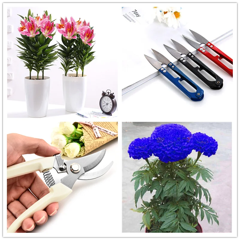 Ножницы для вышивания Мини одежды ножницы крестиком цветов растений фруктов и