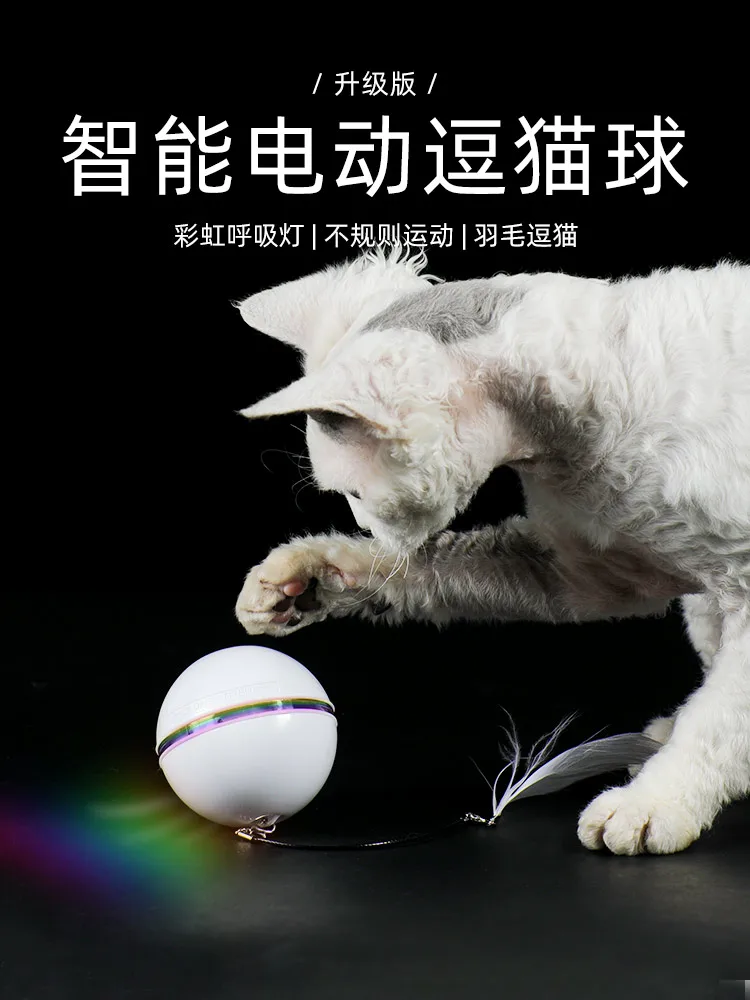 

Pet Products
