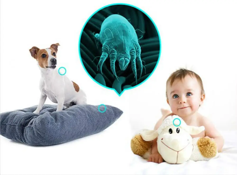 10 упаковок натуральная клещевая сумка для удаления клещей убийца кровать