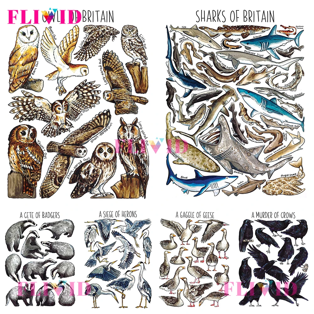 

Abstract Fish Bird Nordic Poster Watercolour Animals Wall Pictures For Living Room Wall Art Canvas Painting Home Decor Unframed
