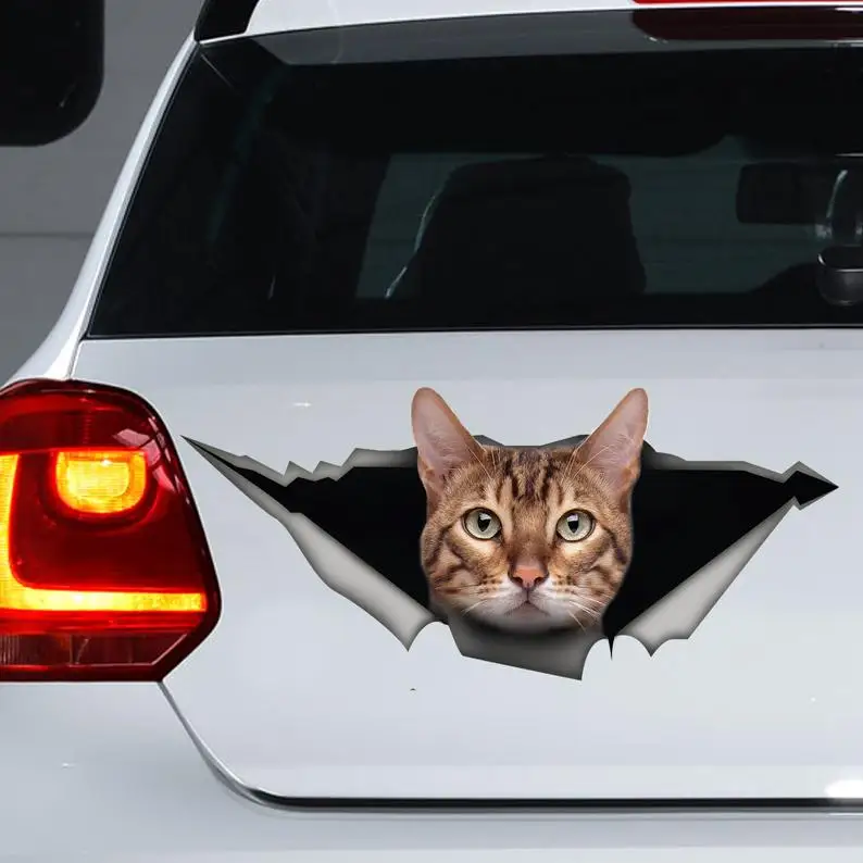 

2021 Cute Bengal cat car decal, funny sticker , Bengal cat car sticker