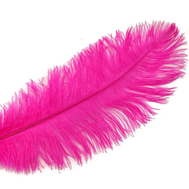 10pcs/lot 15-70CM Rose Red Ostrich Feather Costume Wedding Decoration Feathers Supplies Carnival Dancer Plumage | Дом и сад