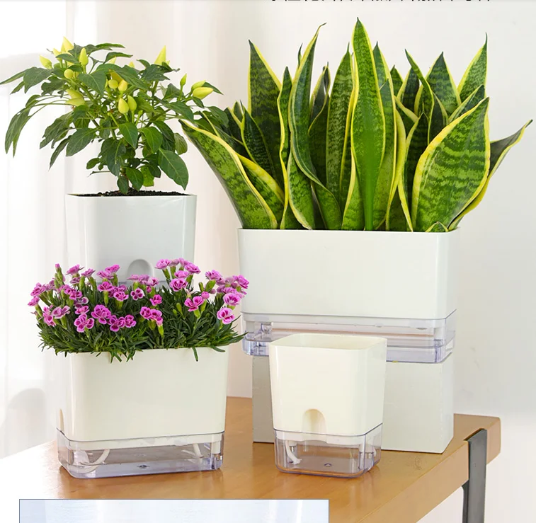 

Simple Square Automatic Water Absorption Lazy Flower Pot Transparent Plastic Flowerpot Without Watering Office Decor Planter