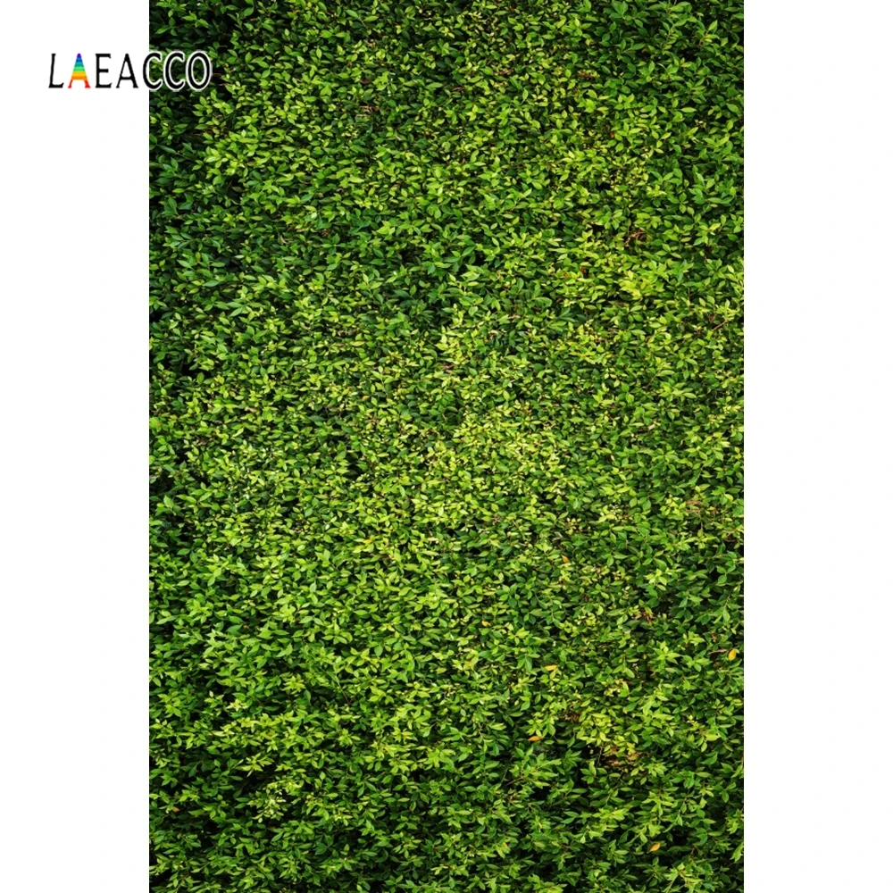 Laeacco зеленая трава листья Свадебная сцена Декор вечерние фоны фотография день