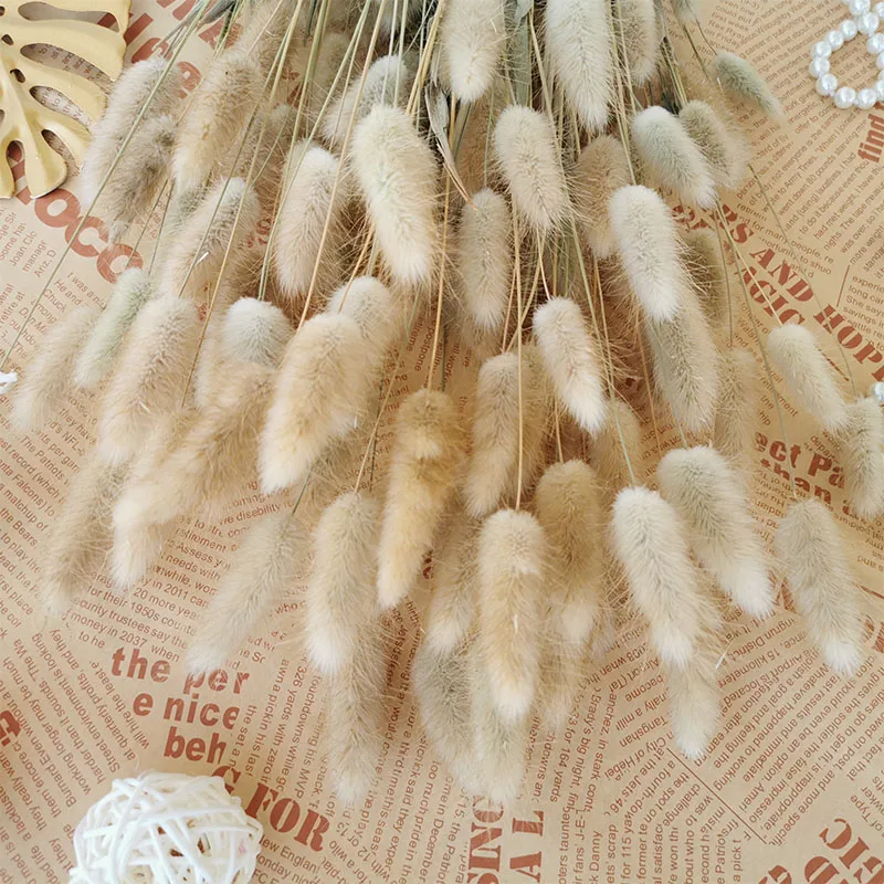 

15PCS Dried Natural Flowers Wheat Ear Bunny Tail Grass Wedding Marriage Decoration Accessories Home Small Pampas Grass Decor