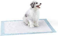 basics dog and puppy leak proof potty training pads with quick dry surface dog changing mats pet diapers dog cats diapers