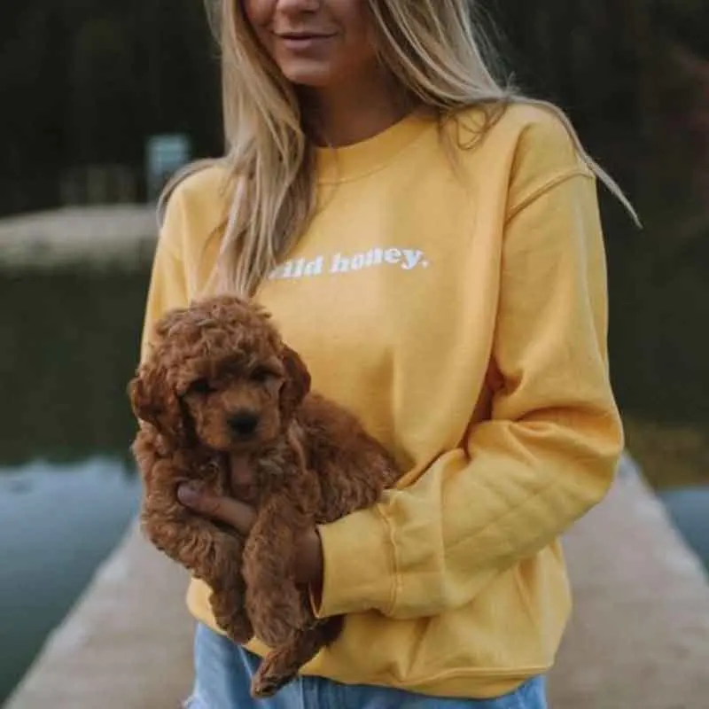 Женская толстовка с длинным рукавом Wild Honey модная желтая рисунком джемпер для