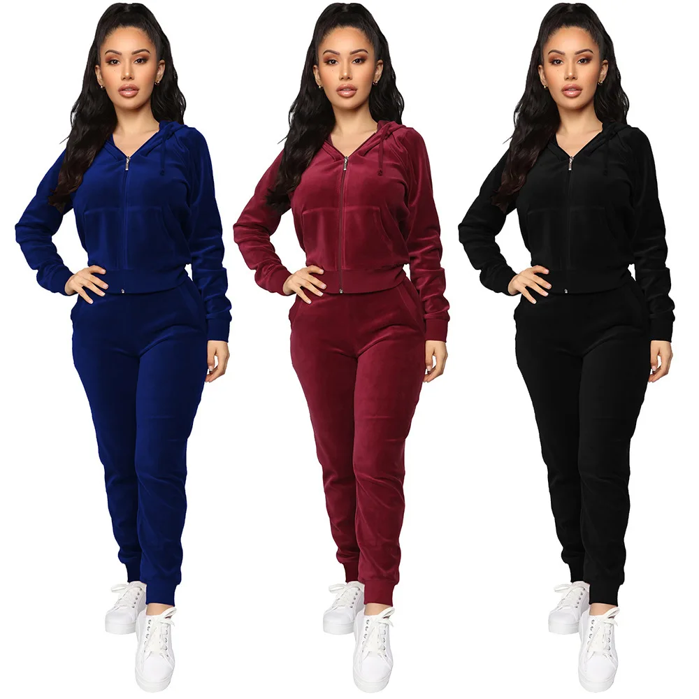 

Women's Sweatsuit Set Velour Long Sleeve Hoodie and Pants Sport Sweat Suits 2 Piece Tracksuits Outfits