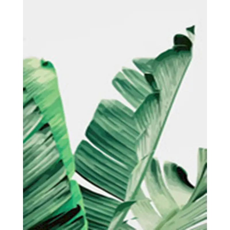 

SELILALI DIY Framed Painting By Numbers Kits For Kids Unique Gift Three Green Leaves Landscape Picture By Number Home Decor