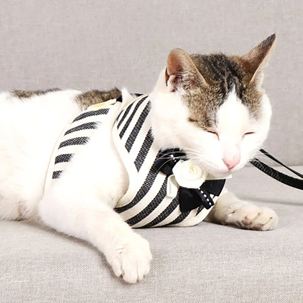 

Cat Collar Cats Leash Cat Accessories Dog Collars Tag Szelki Dla Psa ошейник для кошек Arnes Perro Pequeño Поводок Для собак