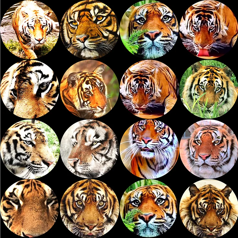 

FLTMRH Tiger Animal Tiger Eye Tiger Head Glass Cabochon 6MM-25MM Toys DIY Necklace Bracelet Jewelry Accessories