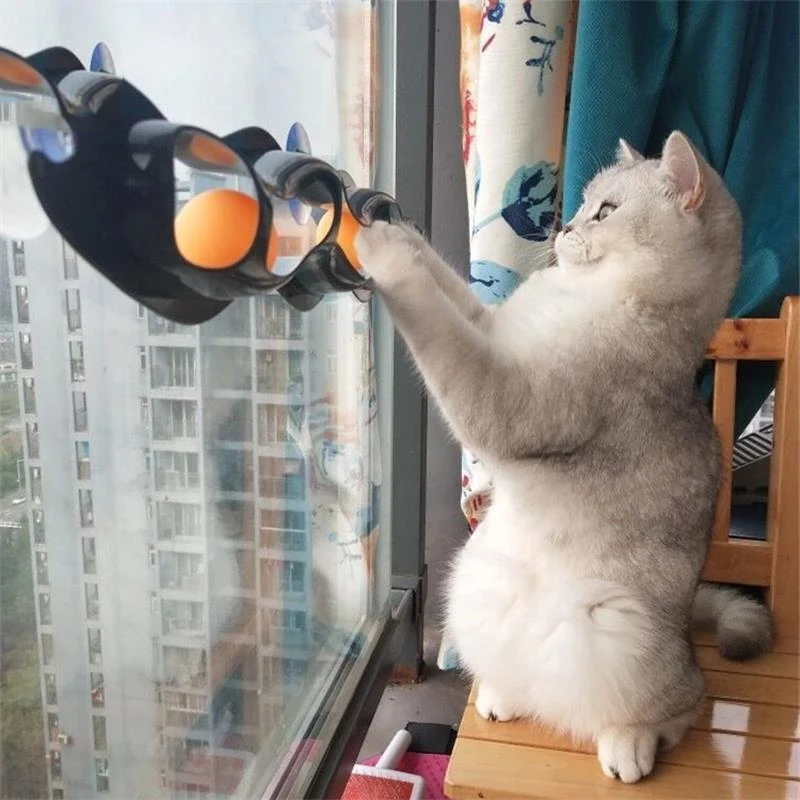 

Pet toy glass cat sucker toy wall window sill toy funny cat toy window sill claw grinder track kitten supplies