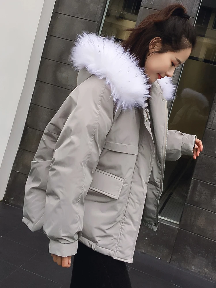 

Popular Cotton Padded Jacket Women's Short Winter Clothes New Korean Version Loose Small Cotton Bread Coat Student