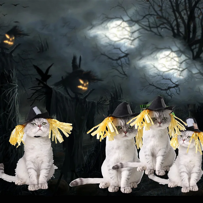 Изделия для кошек и щенков шапка вечерние наряды головной убор вечеринки