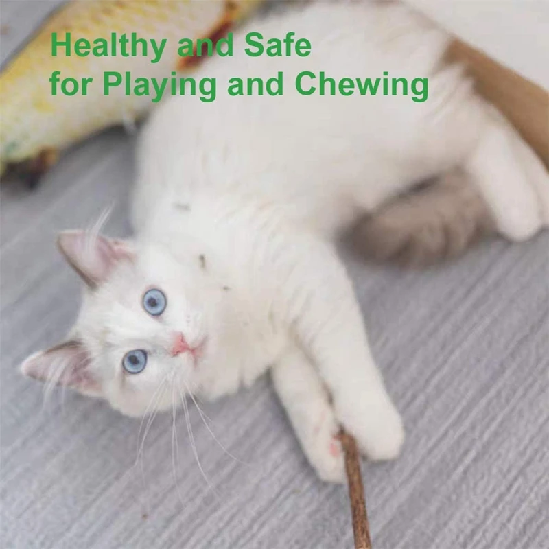 

15Pcs Natural Silvervine Sticks for Catnip Sticks Matatabi & 200Pcs 3.5cm Mini Fluffy Soft Pom Poms Pompoms Ball