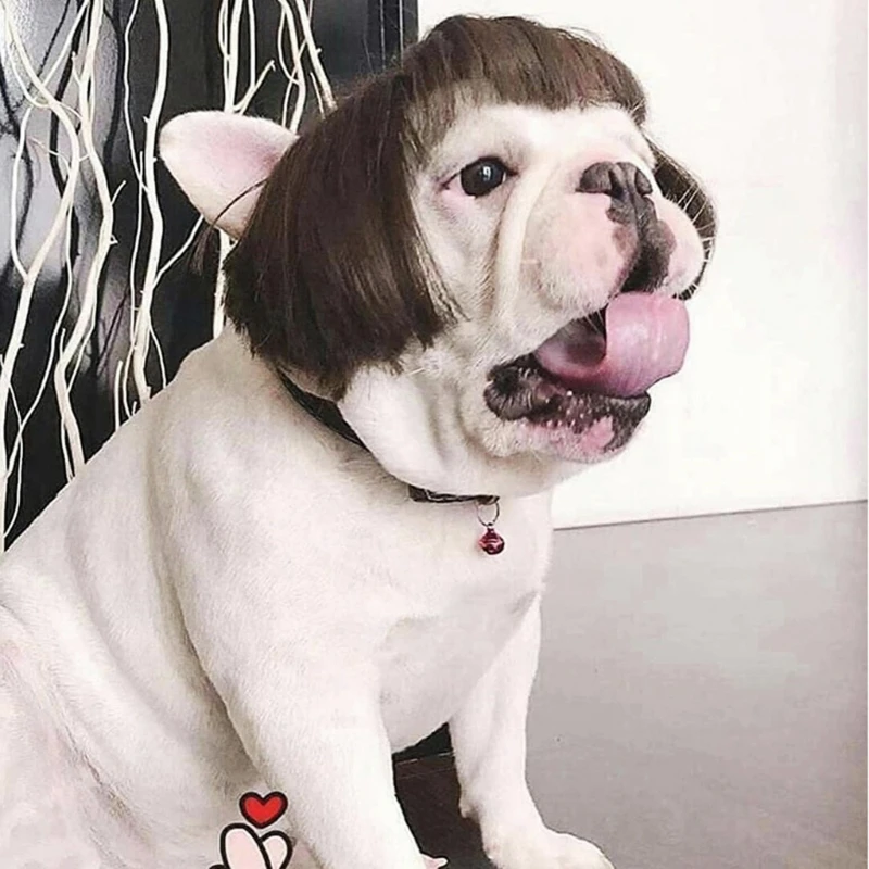 

Pet Headdress Wigs Pet Costume Dog Wig for Small Medium Large Pet Dog Party Decorationg Party Decor Creativ Gift for Pet