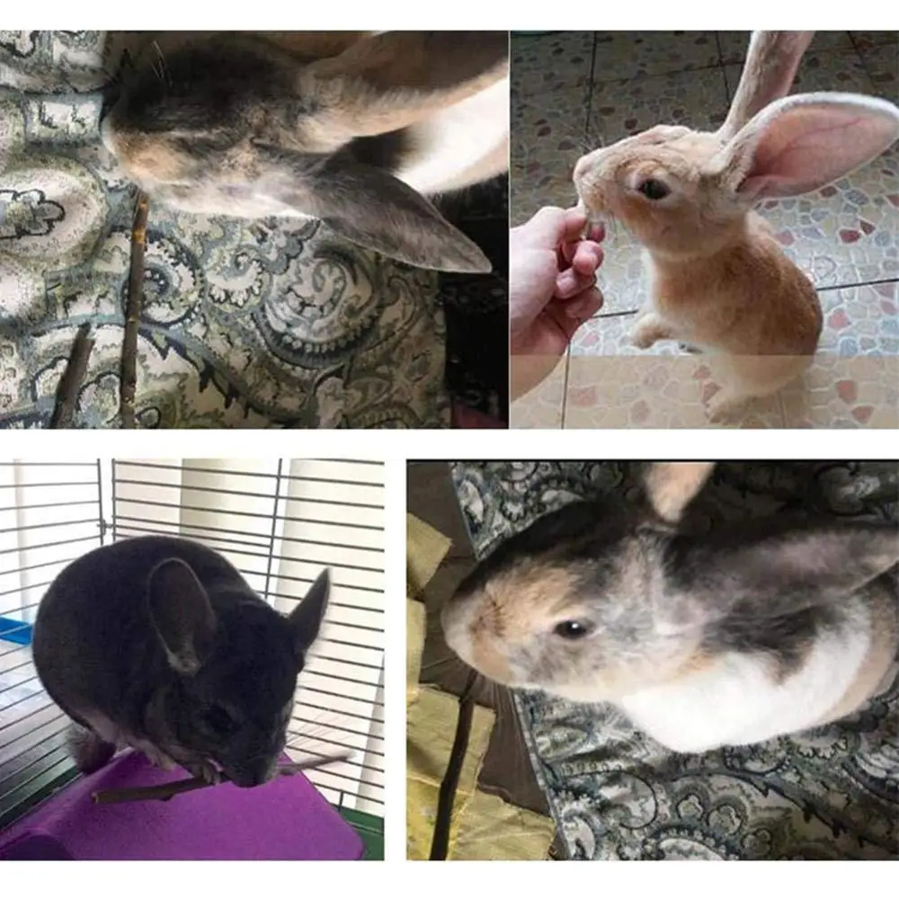 100 г/компл. Маленький Животное животное кролик хомяк морская Шиншилла укуса