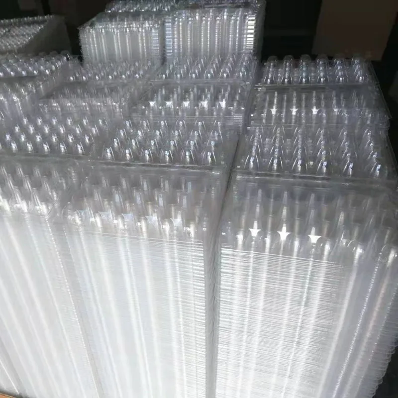 

12 Holes Quail Egg Containers Plastic Egg Boxes D28mm/H39mm 1000pcs/lot