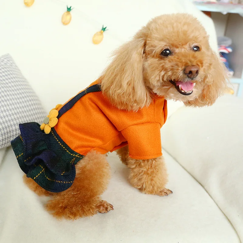 Одежда для собак на осень и зиму новейшие оранжевые юбки шерстяное платье Прямая