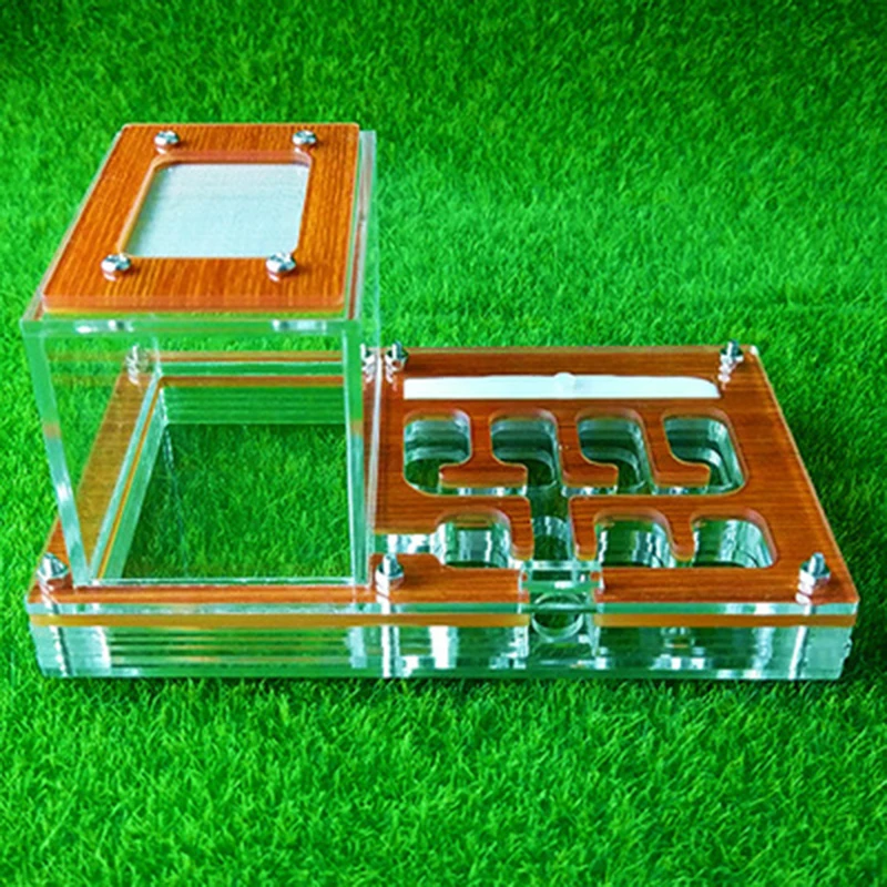 Red Ant Nest Living Pet Villa Workshop Acrylic Popular Science Teaching Unique Gifts | Дом и сад