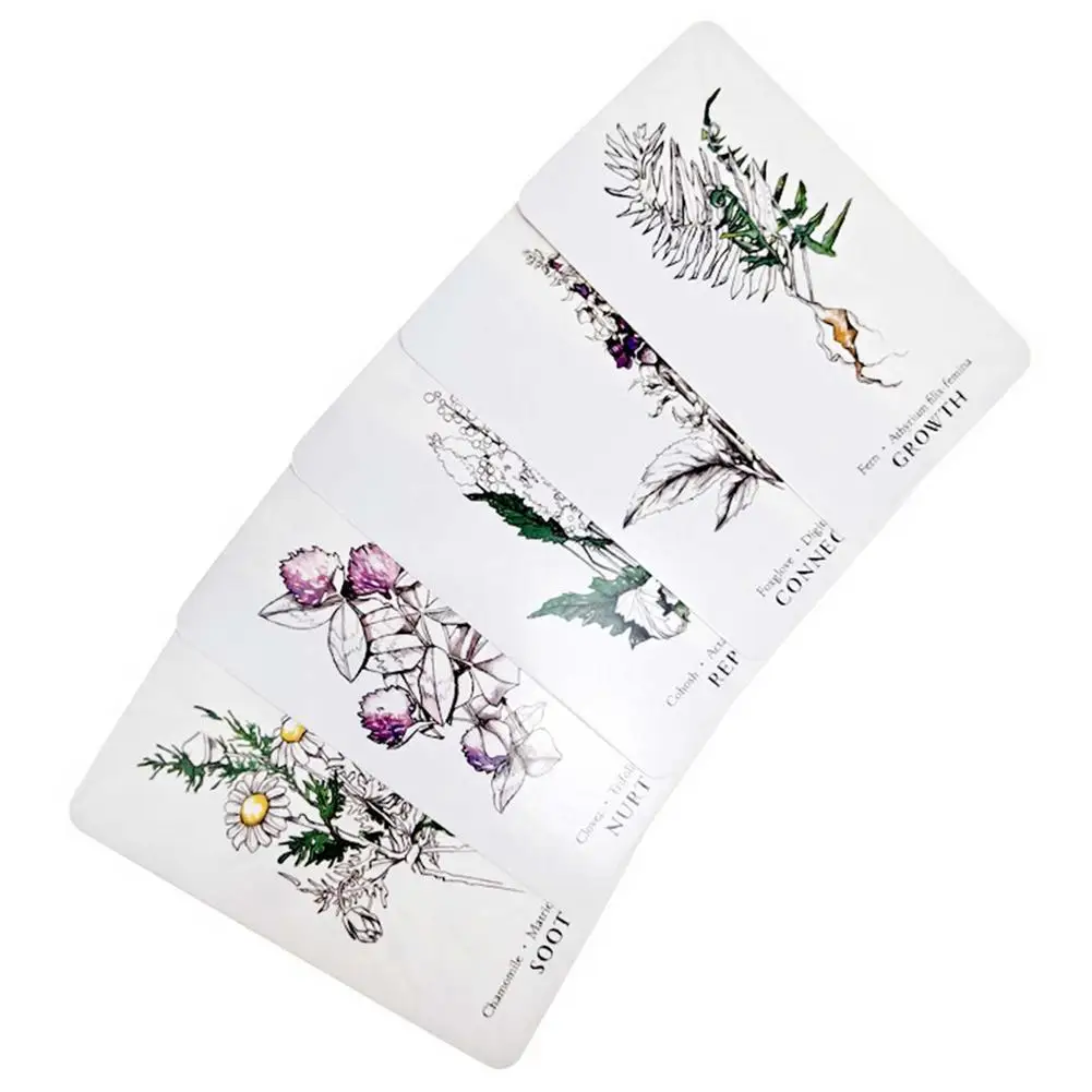 Лидер продаж ботанические карты с изображением ведьмы изгороди и оркула 40 шт.