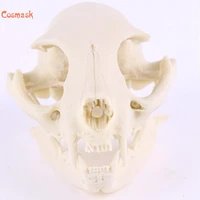 cosmask realistic animal skull resin replica teaching skeleton model aquarium halloween scary props horrible supplies home decor