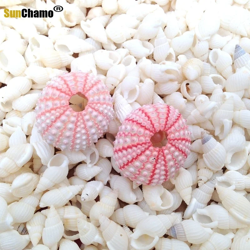 3 шт. ракушки для морского ворса 3-5 см | Дом и сад