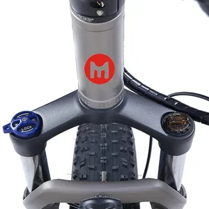 YUME 2020 48v500w 48V11.6ah Ebike складной электрический велосипед более 100 миль с подзарядкой и