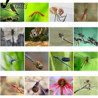 beautiful animal dragonfly diamond painting 5d diy wall art dewy dragonfly inlaid home room decoration accessories