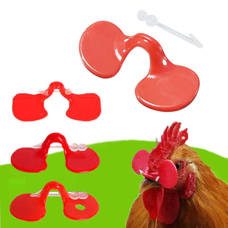 Очки фазана курицы для 300 шт. | Дом и сад