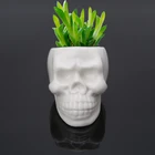Мини-горшки для суккулентов с белым черепом, балконы, маленький керамический цветочный горшок, украшение на Хэллоуин, день, сделай сам