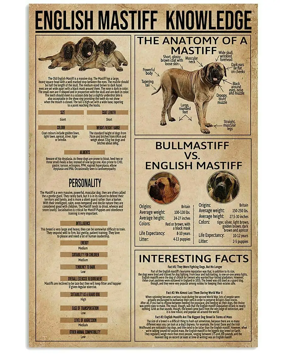 

Английский мастиф знания, Металлическая лампа, уличное кафе, бар, клуб, металлический жестяной знак в стиле ретро, лучший подарок для