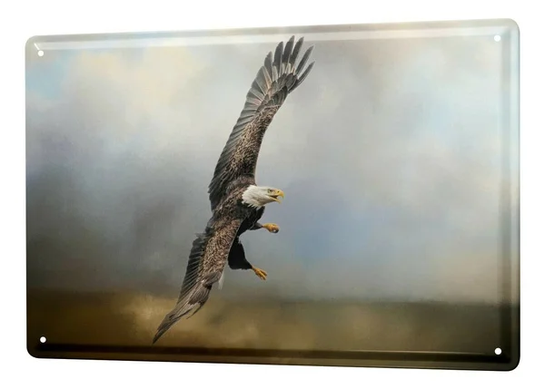 

Tin Sign Bird Eagle Coffee Bar Decoration Home Decor