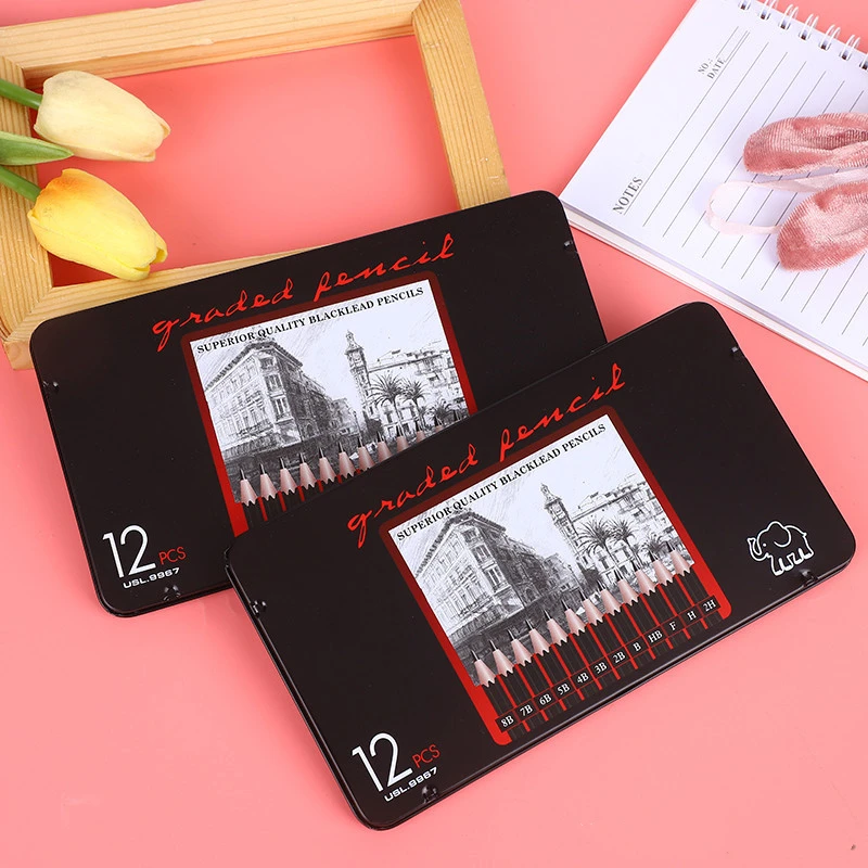 

12Pcs Professional Hard Medium Soft Sketch Charcoal Pencils Drawing Pencils Set For School Standard Pencil Art Supplies