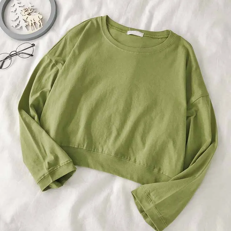 HEYounGIRL Brown Y2K Casual Crop Top Hoodie Sweatshirt Korean Fashion Long Sleeve Women Sweetshirts 2000s Aesthetic Pullovers