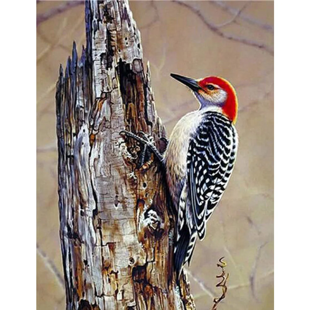 

Woodpecker 5D Diamond Embroidery Animal Patterns Diamond Mosaic Full Square DIY 5D Diamond Painting Bird Rhinestones Decor DF225