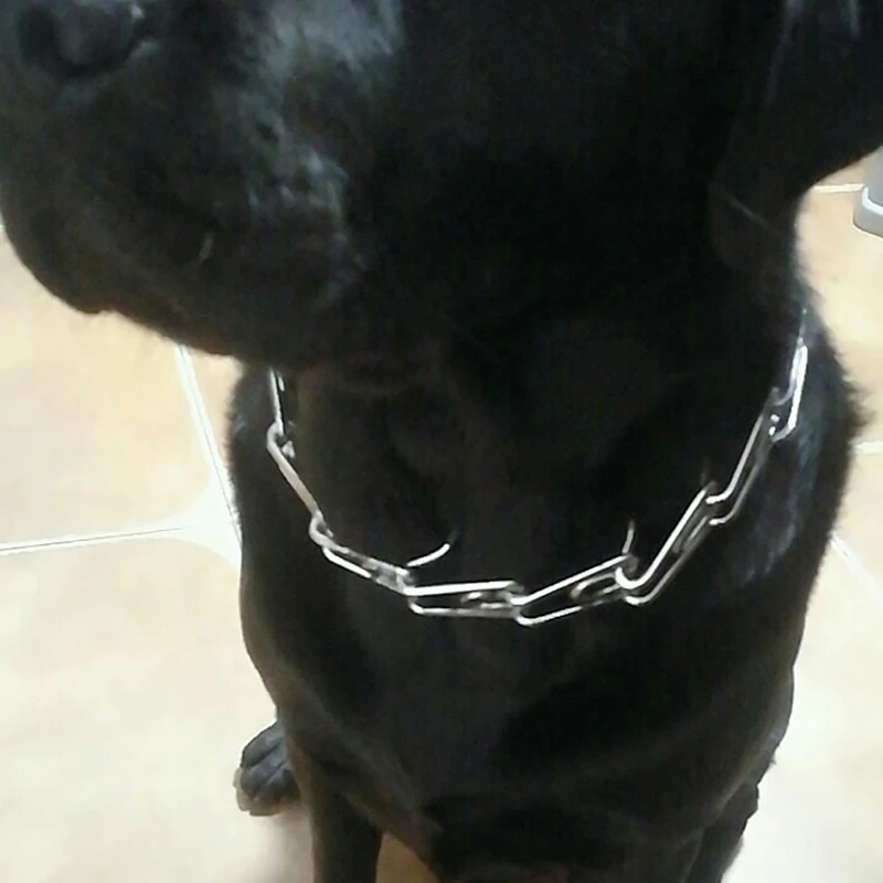 Собачий ошейник прочный профессиональный металлический нейлоновый зажим