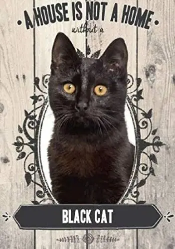 

Black Cat A House is Not A Home Retro Metal Tin Sign Vintage Aluminum Sign for Home Coffee Wall Decor 8x12 Inch