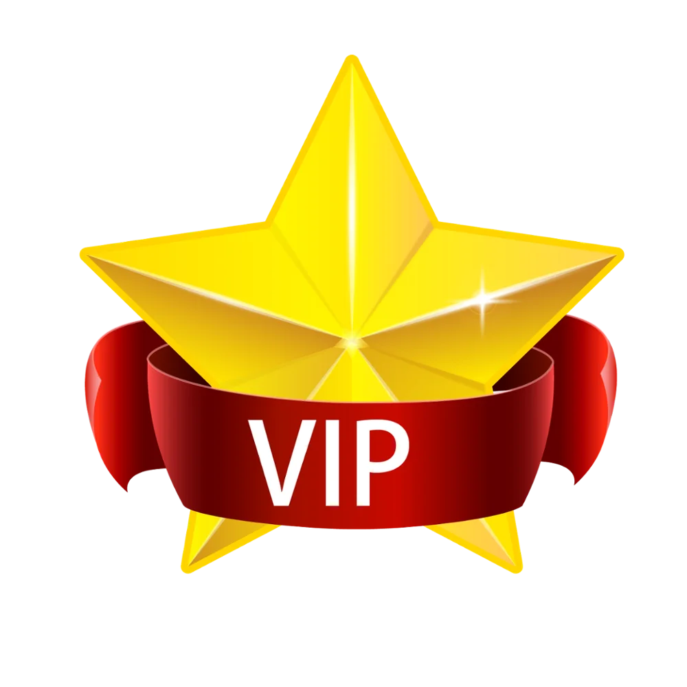 

VIP bidai