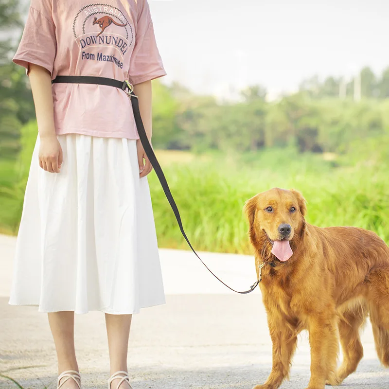 Поводок для собак с двойным крючком веревка бега регулируемый нейлоновый