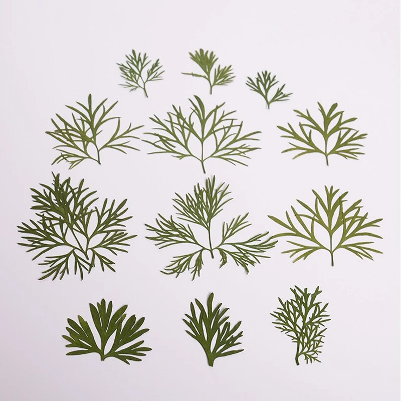 12 шт. сушеные зеленые листья эпоксидная смола | Дом и сад
